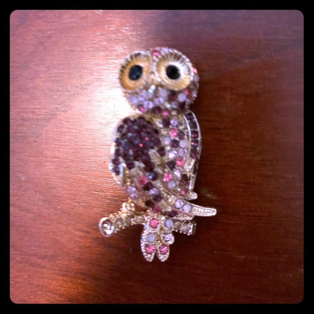 Rhinestone owl pin broach